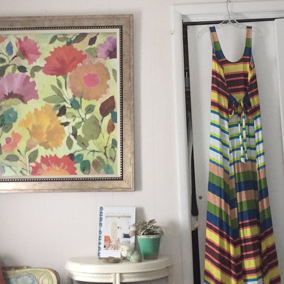 Tracy Reece Spectrum Striped Maxi Dress - Picture 4 of 4